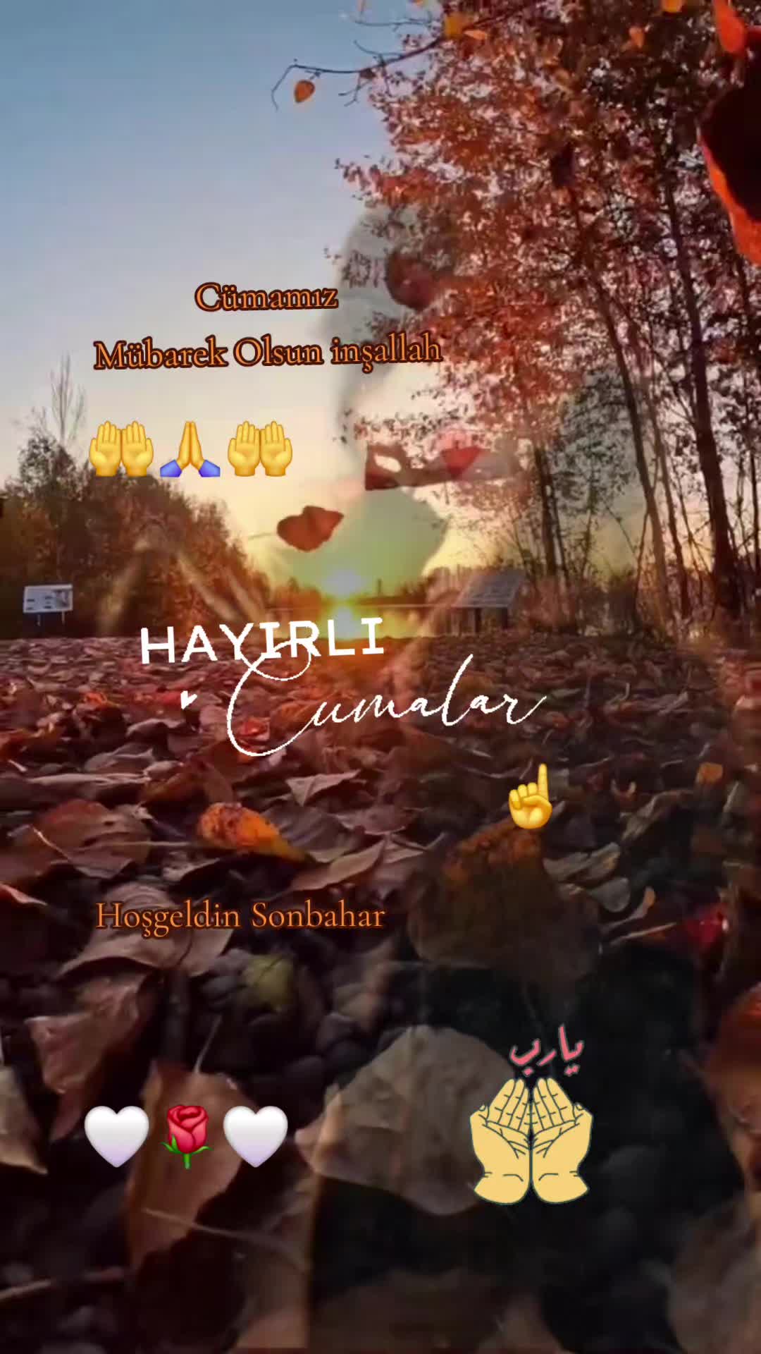 @🔥 KADER 🔥