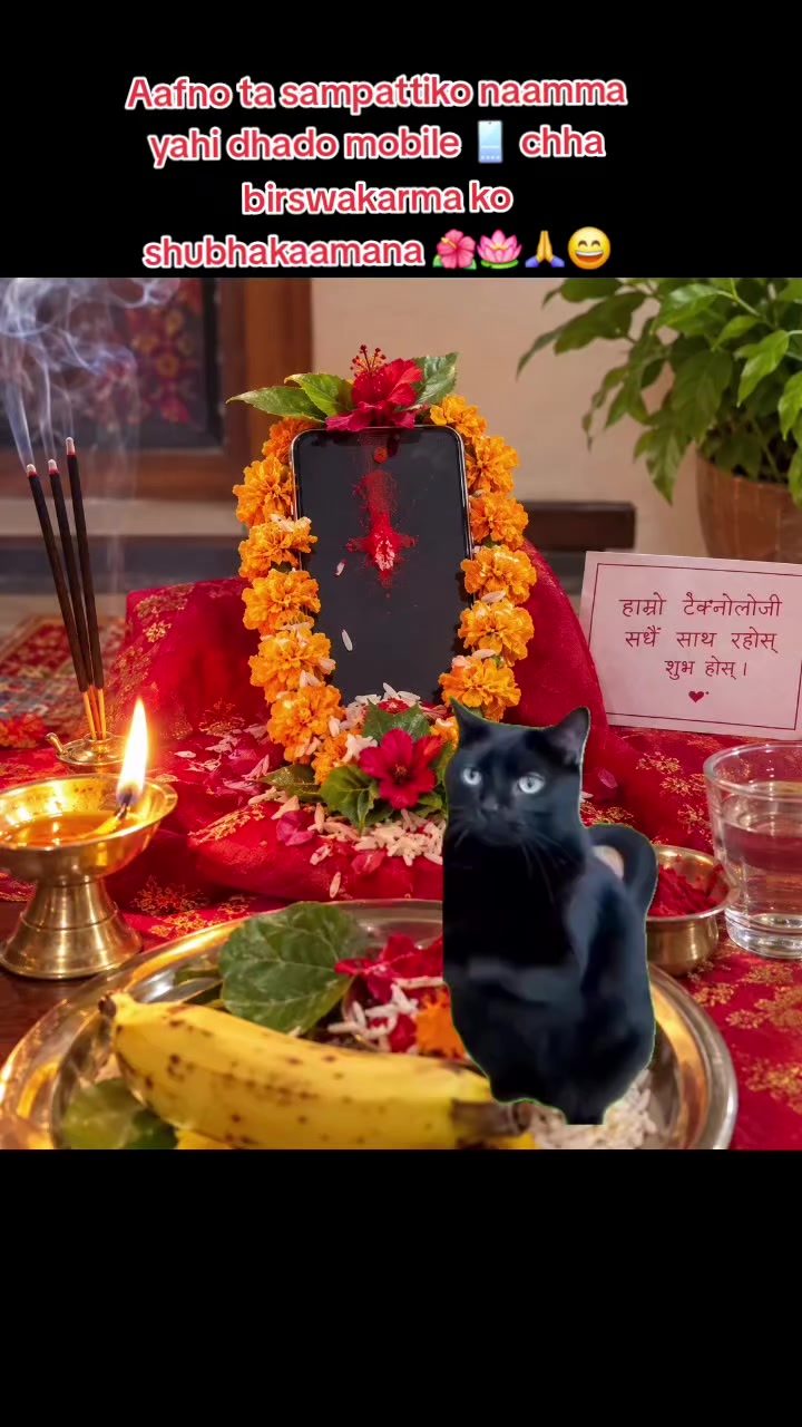@Jeevan_bmjan❤️🤗😘