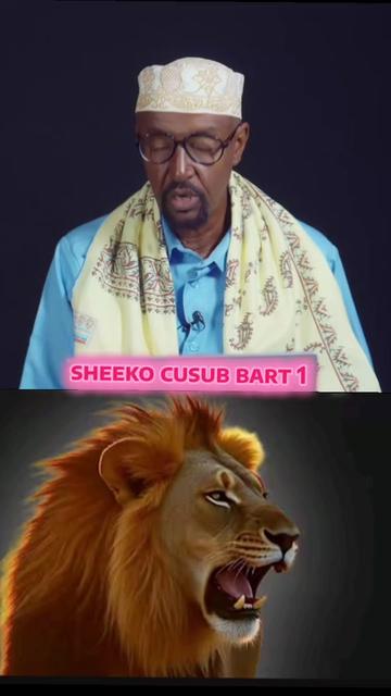 @CIISE GALMUDUG📸TV📺JAXAF JXAF