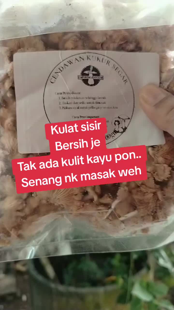@KAK NGAH FROZEN PAHANG