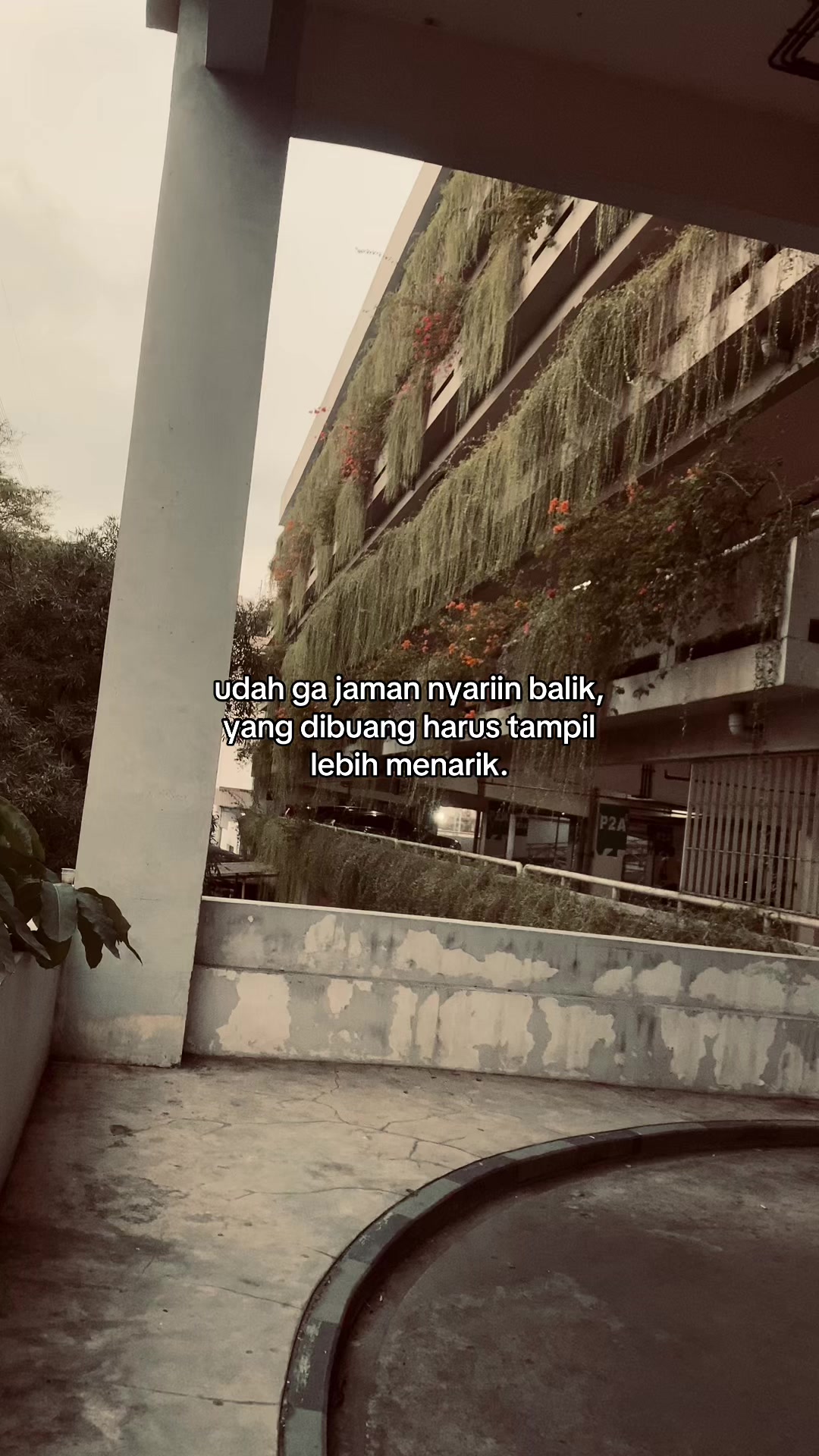 @ryy.