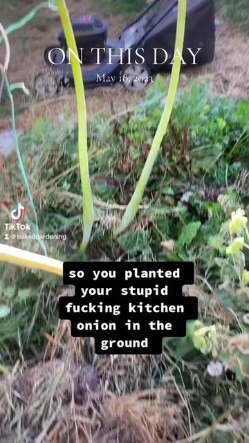 @Bakedgardening