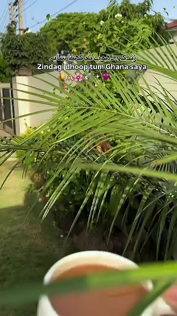@ṘḀṆḀ ḞḀẏṠḀḶ