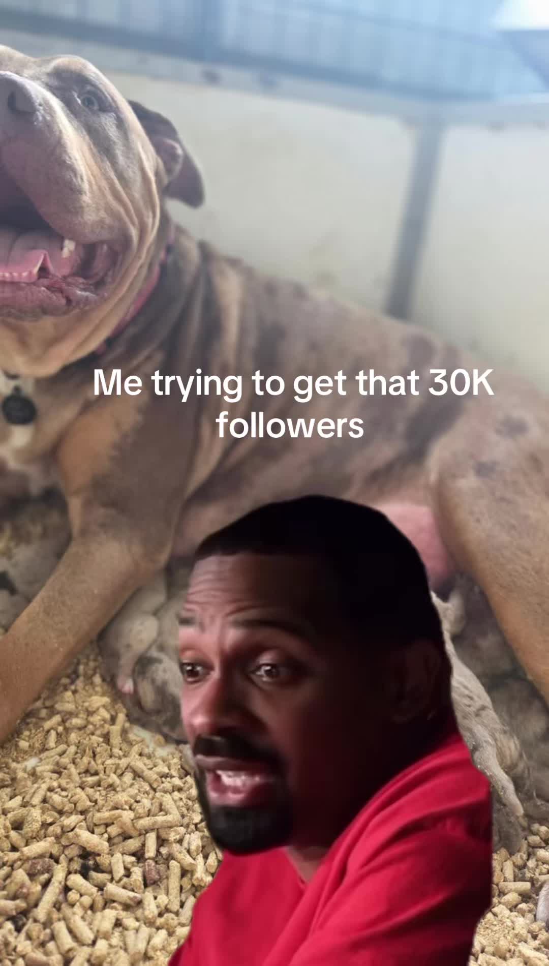 @Duk_tiktok