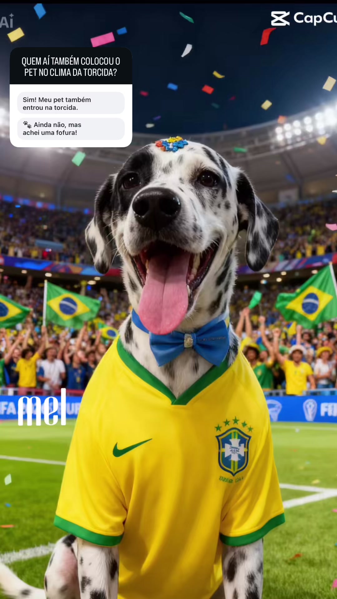 @Soninha
