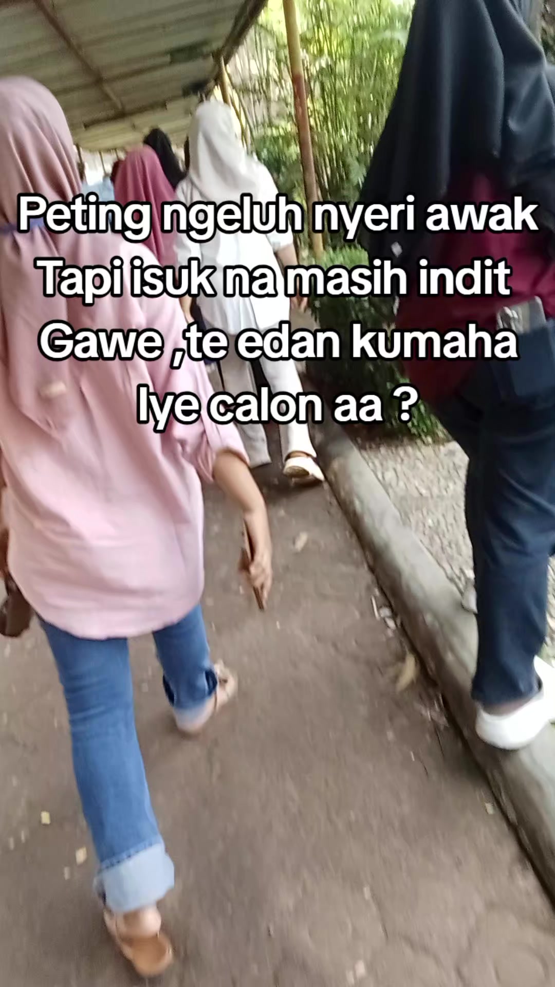 @moy