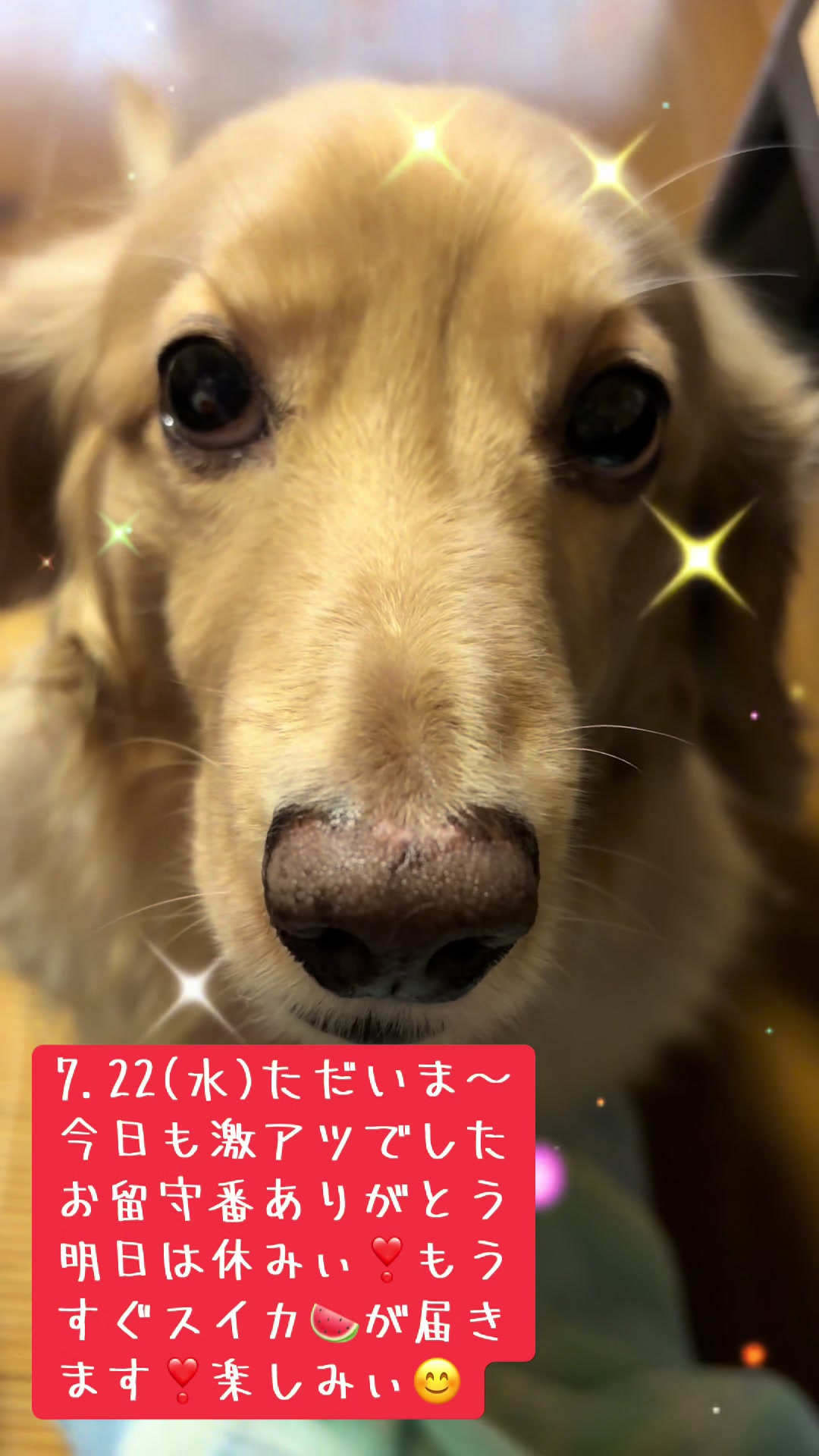@🦒きりん🦒