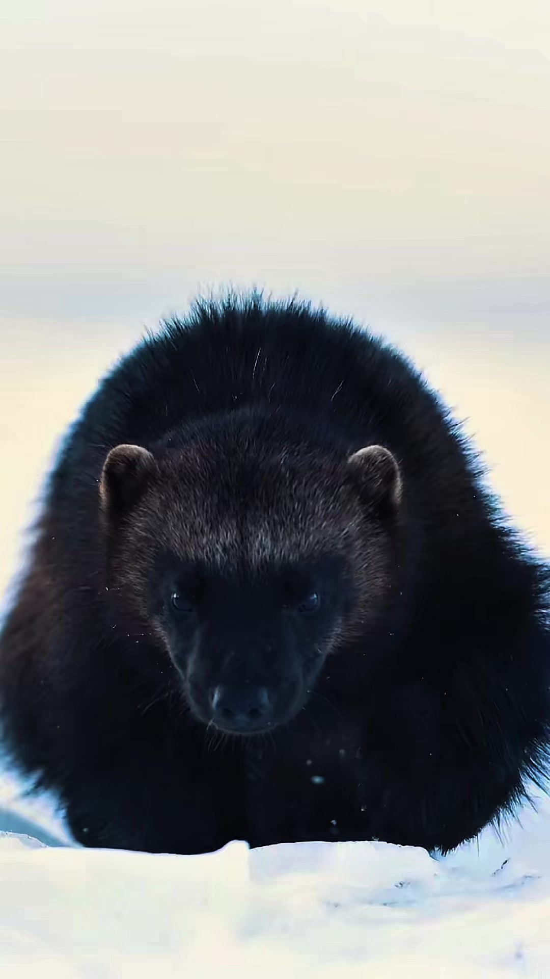@Mysticmoods2