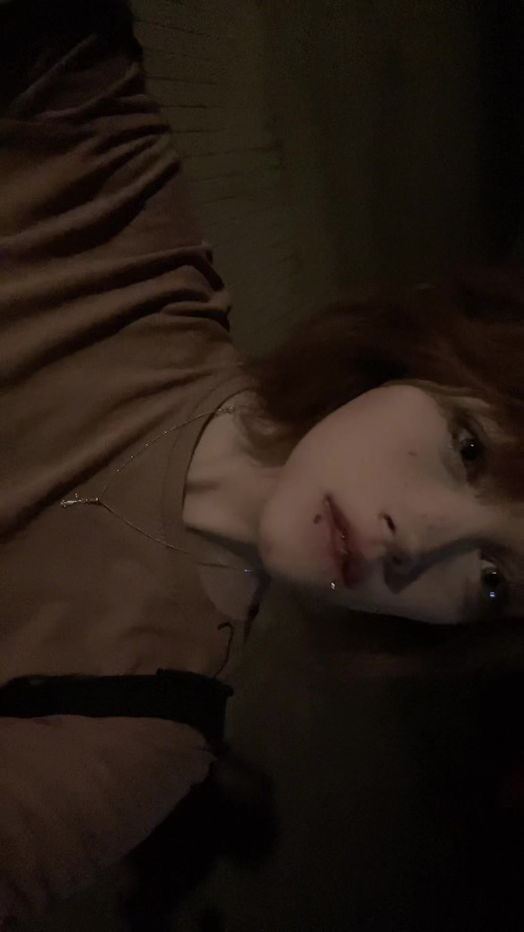@лацертида