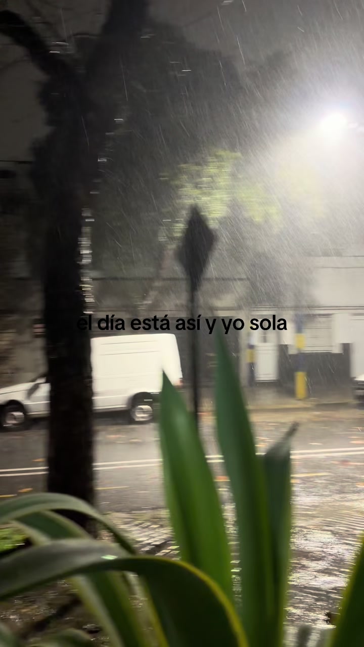 @vichinii.