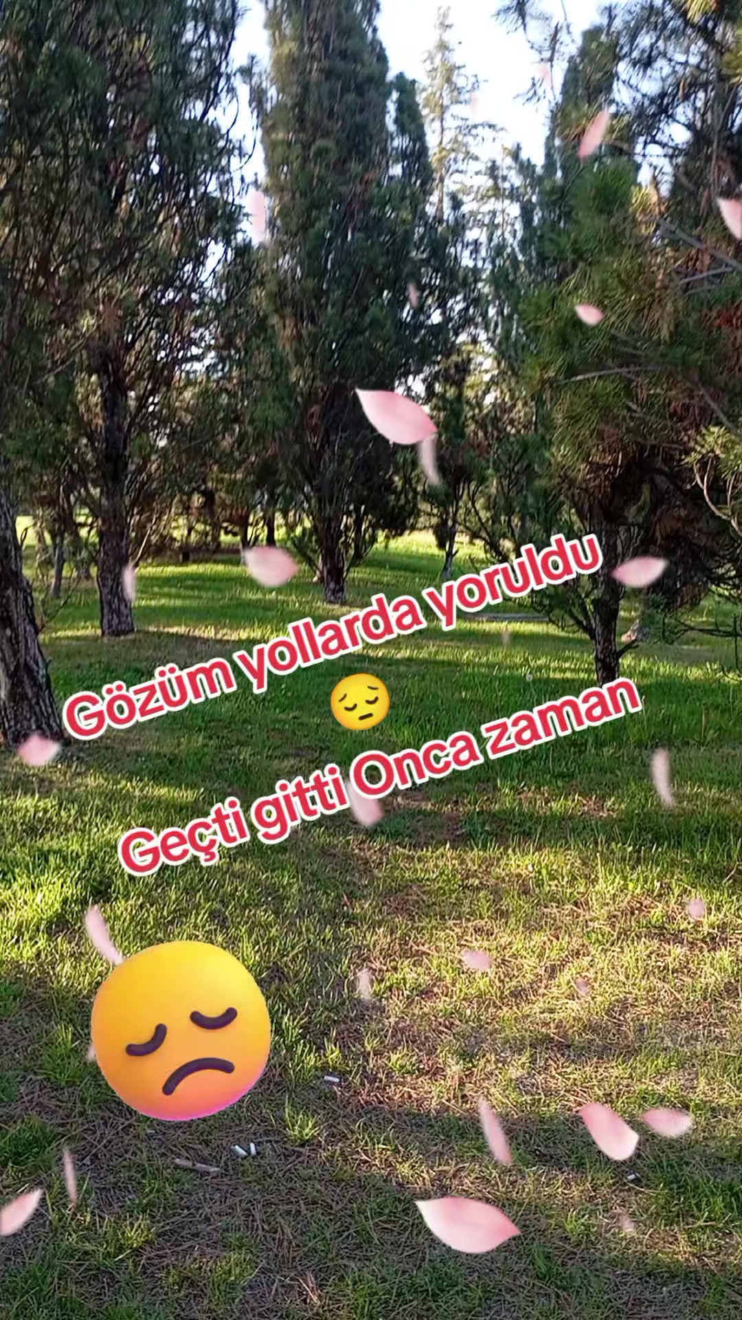 @Ercan Berber