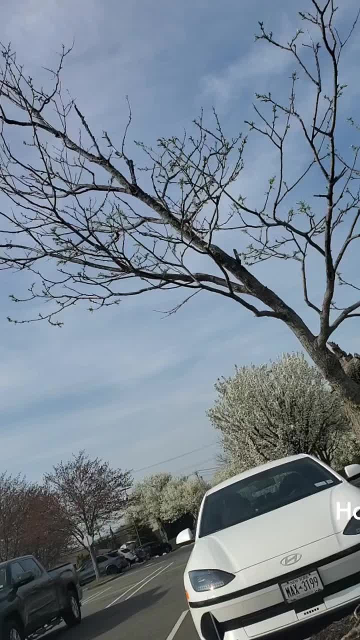@anatorres0699