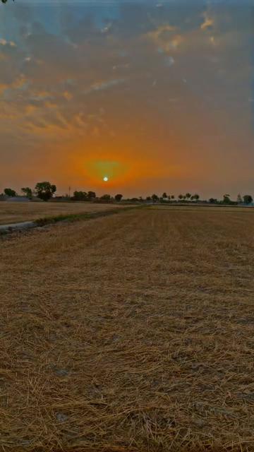 @ظہیر خاں جوئیہ 5