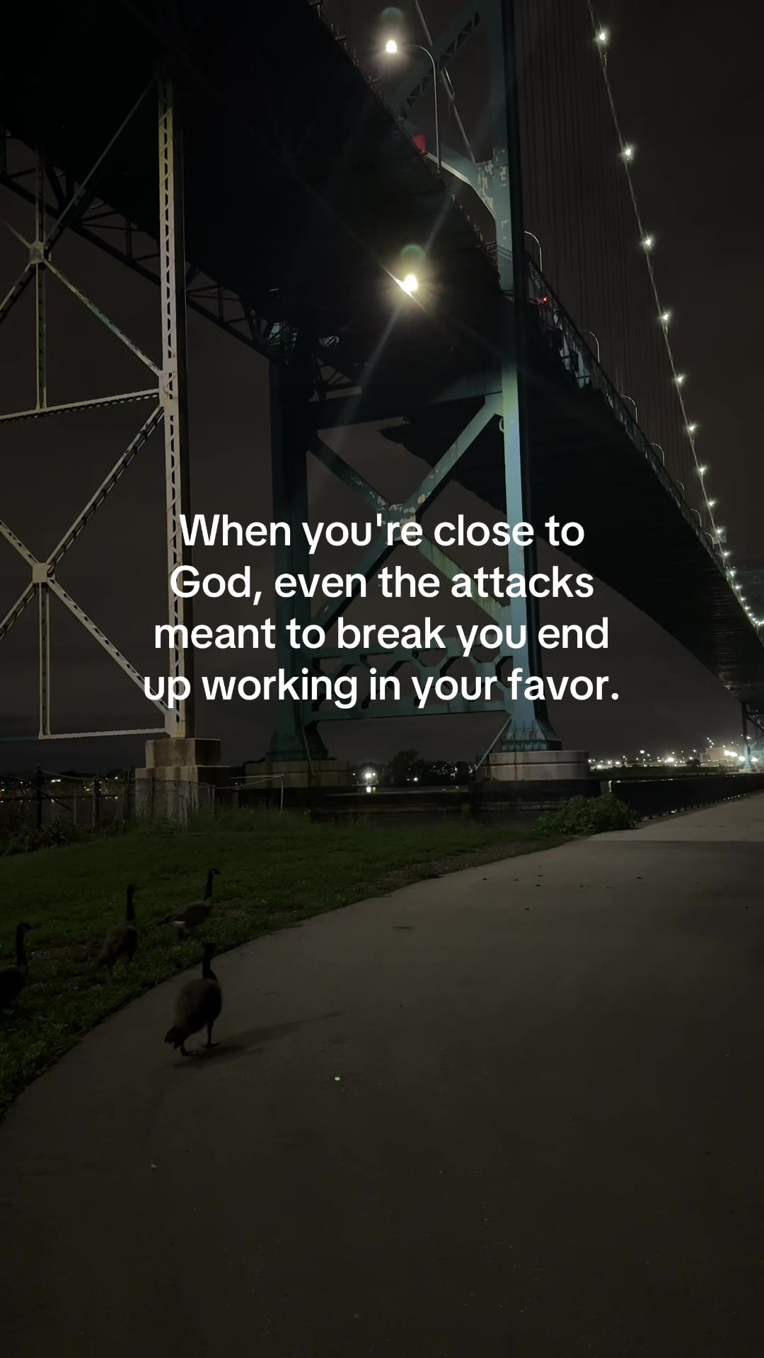 @ℒ ᥫ᭡