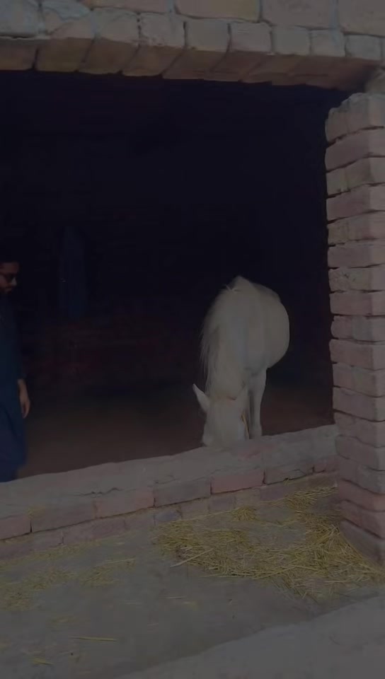 @𝓡𝓸𝓶𝓪𝓷 𝓜𝓮𝓸 &hearts;️