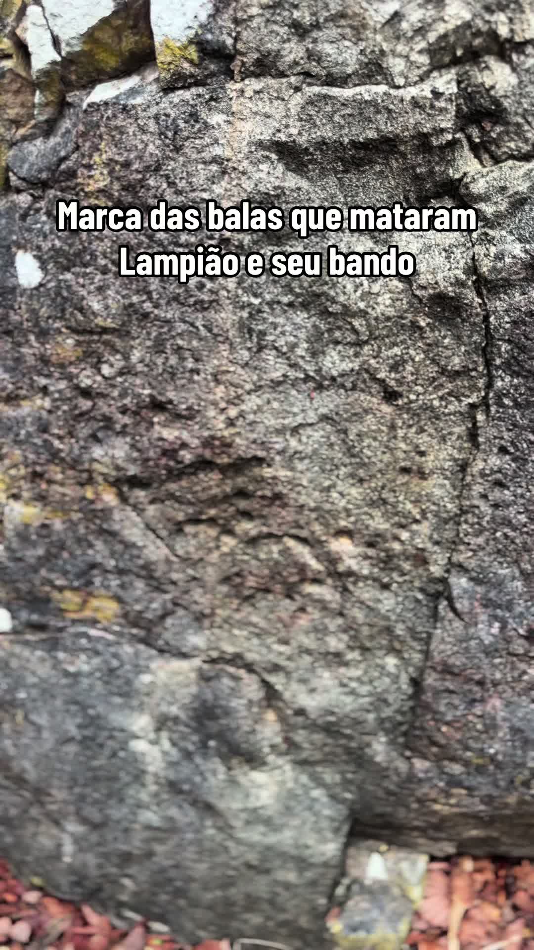 @Gabi Lima