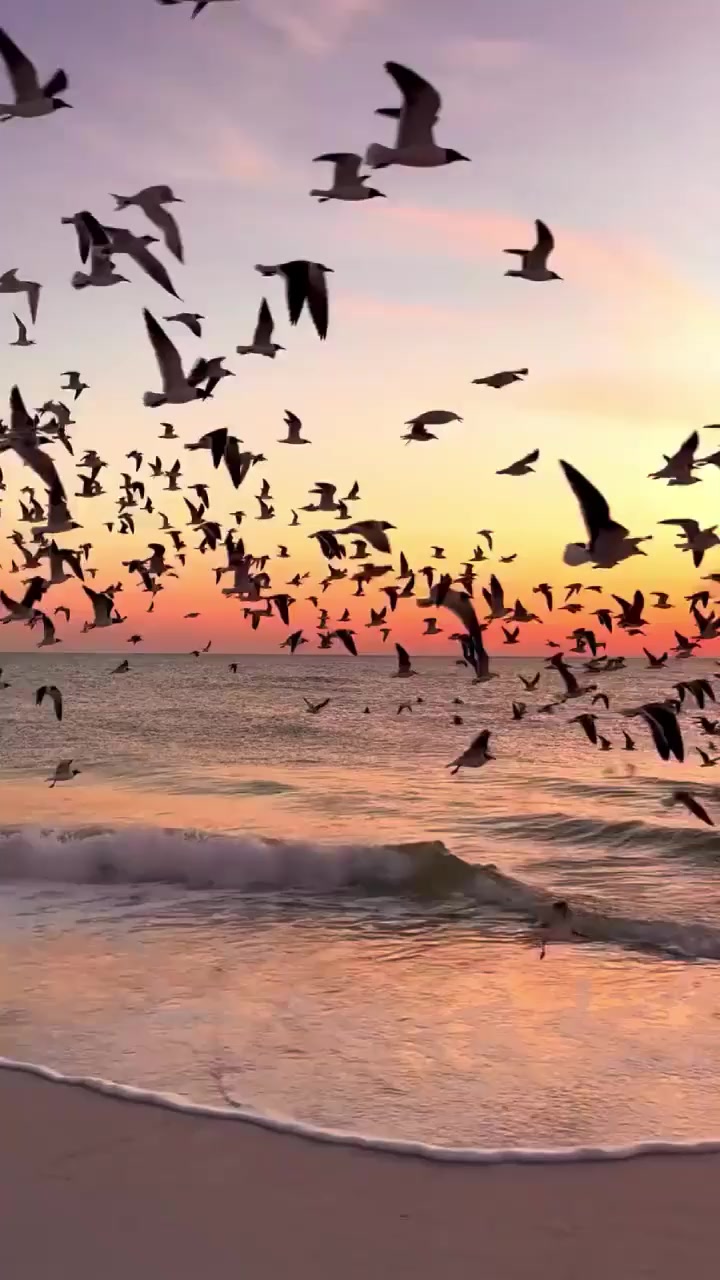 @naturezainfinita00