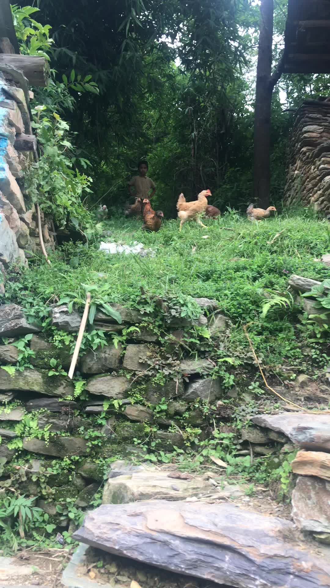 @pardeshipradip8
