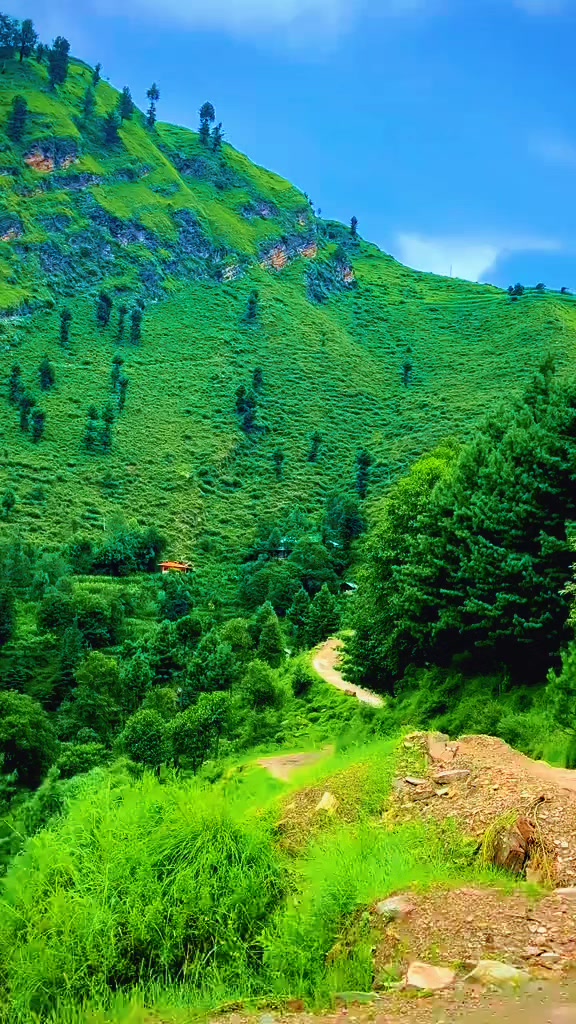 @Jubed Kumar