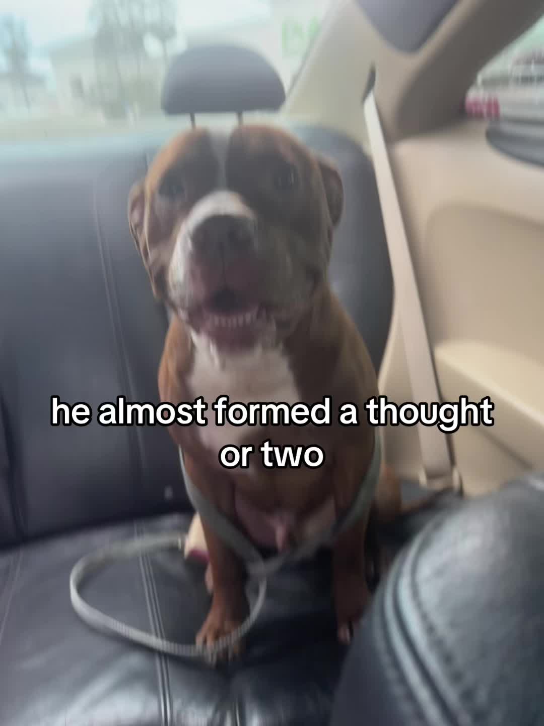 @<