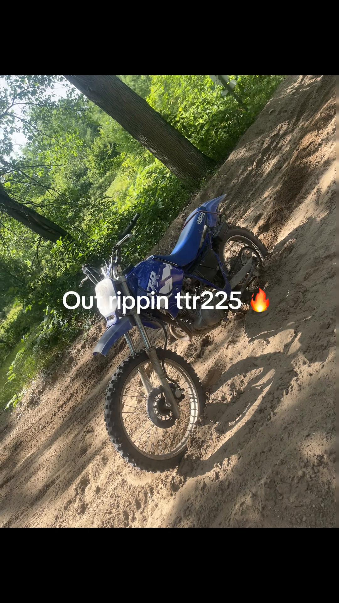 @dirtbike 300