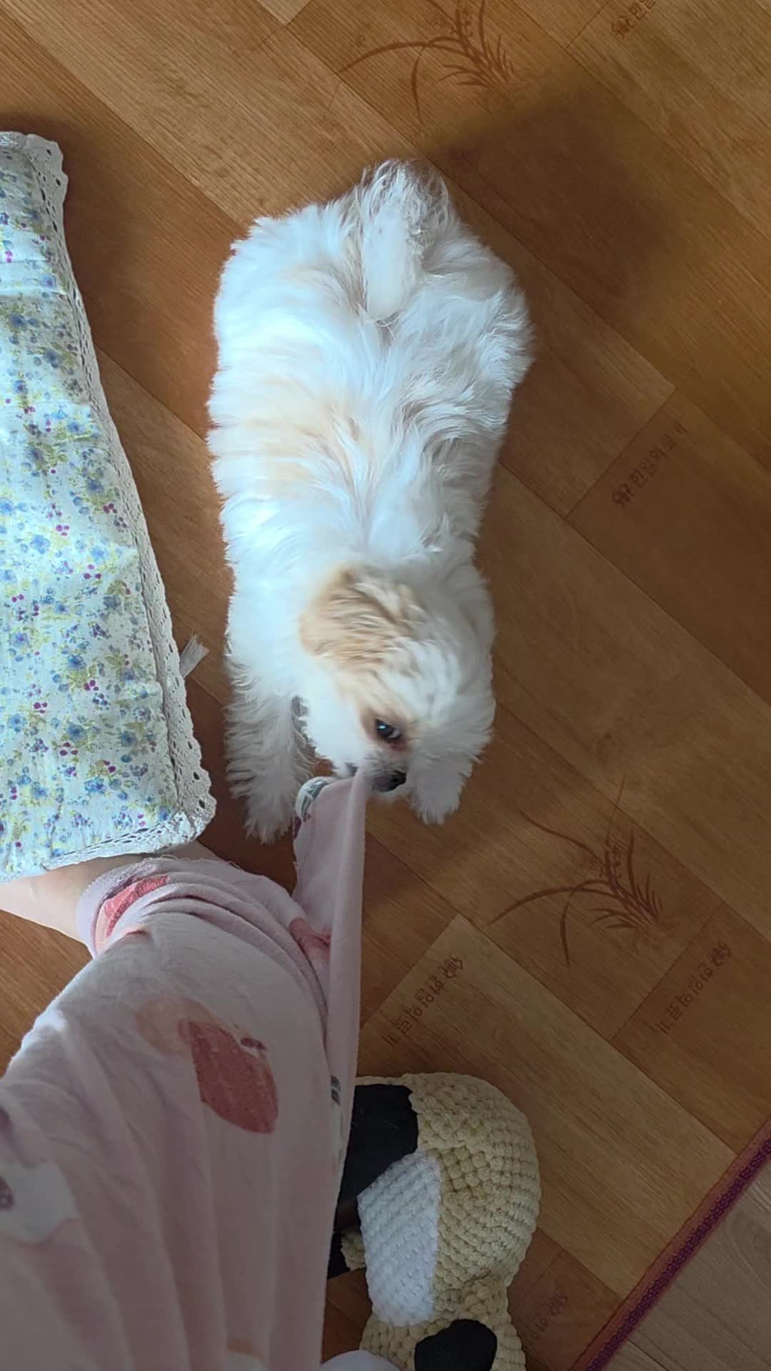 @또롱이