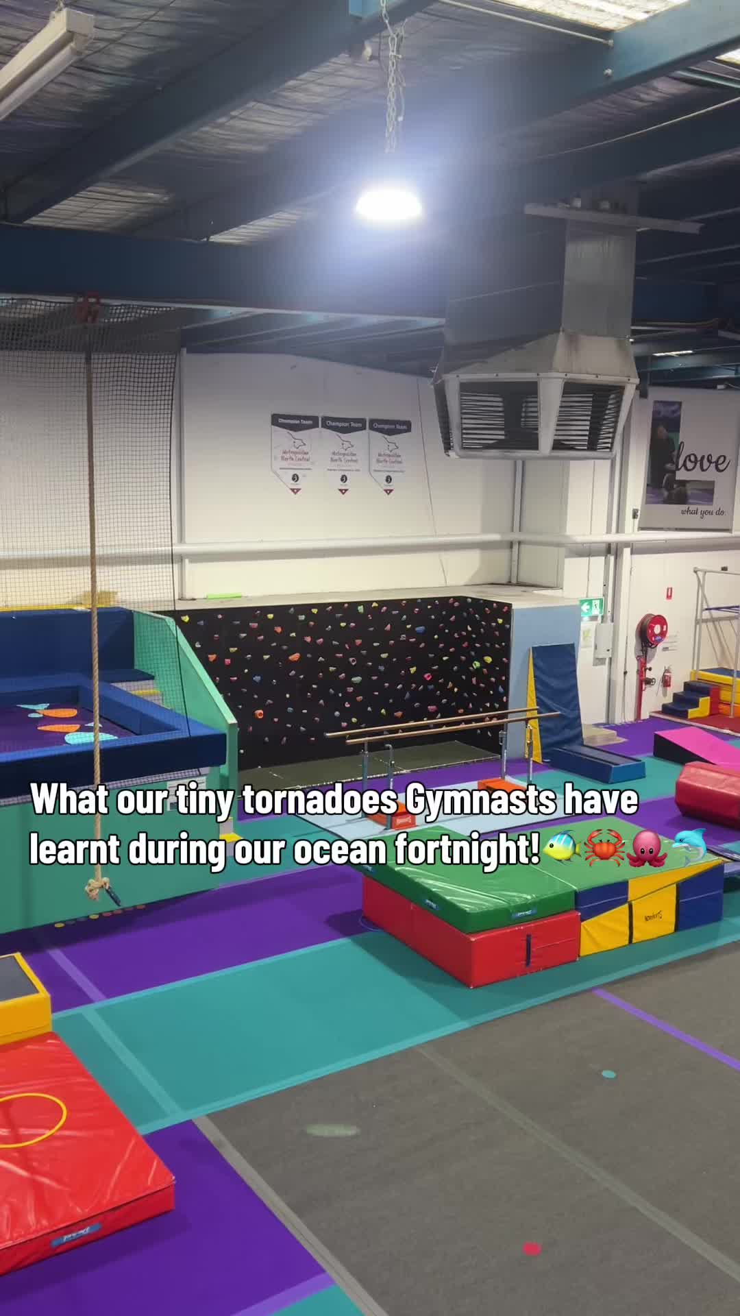 @twistersgym.