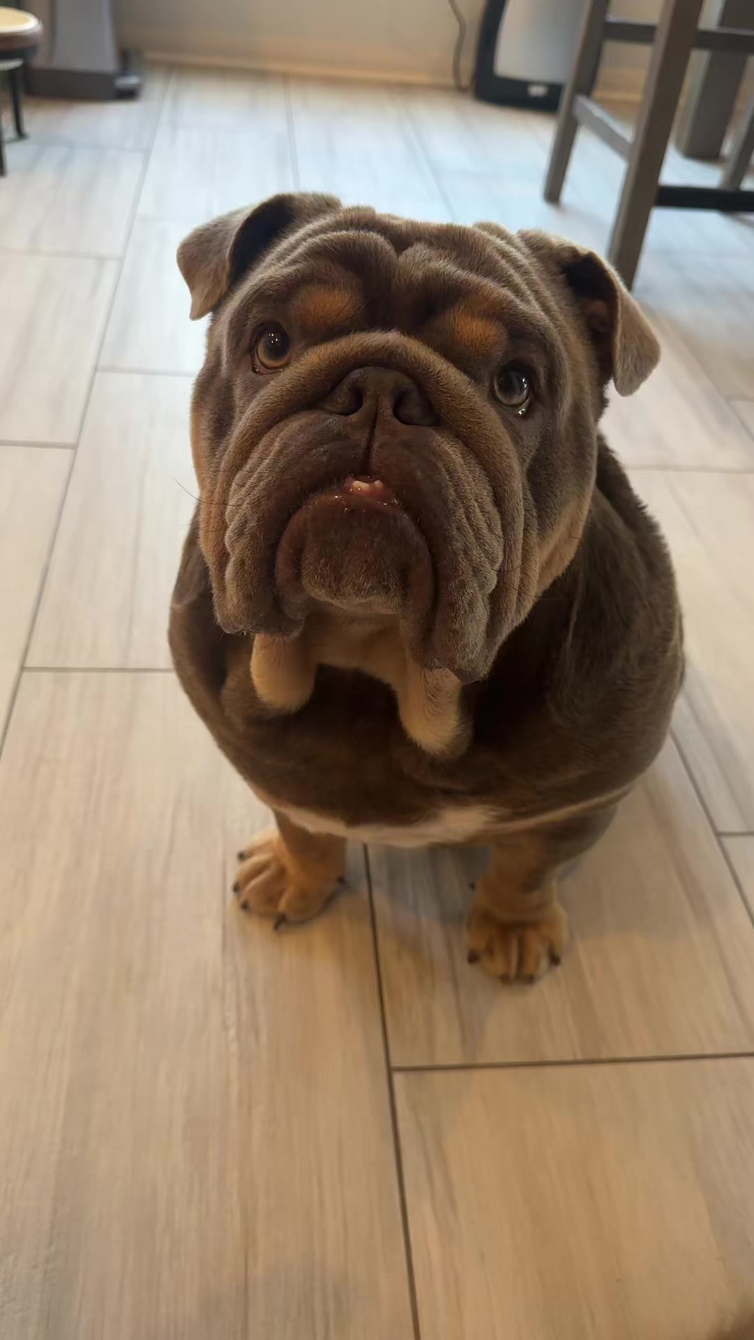 @RawlsTheBulldog