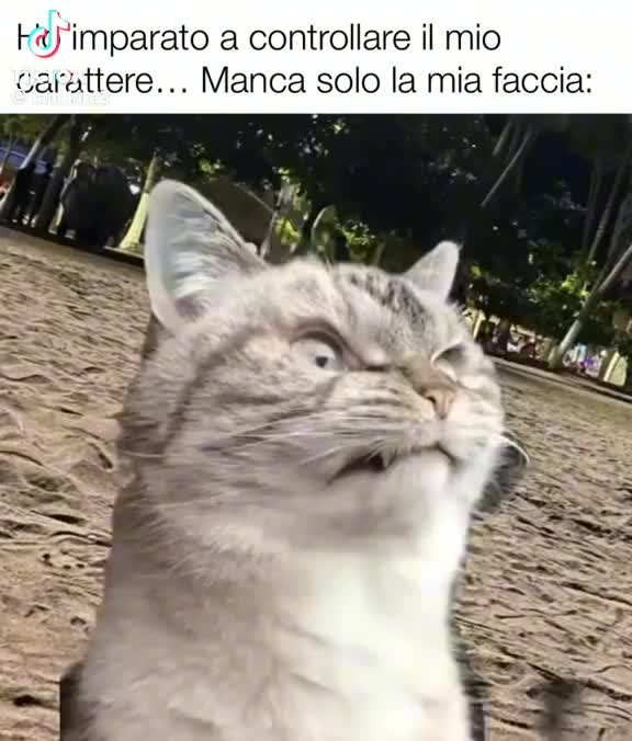 @Siciliana bedda ❤️