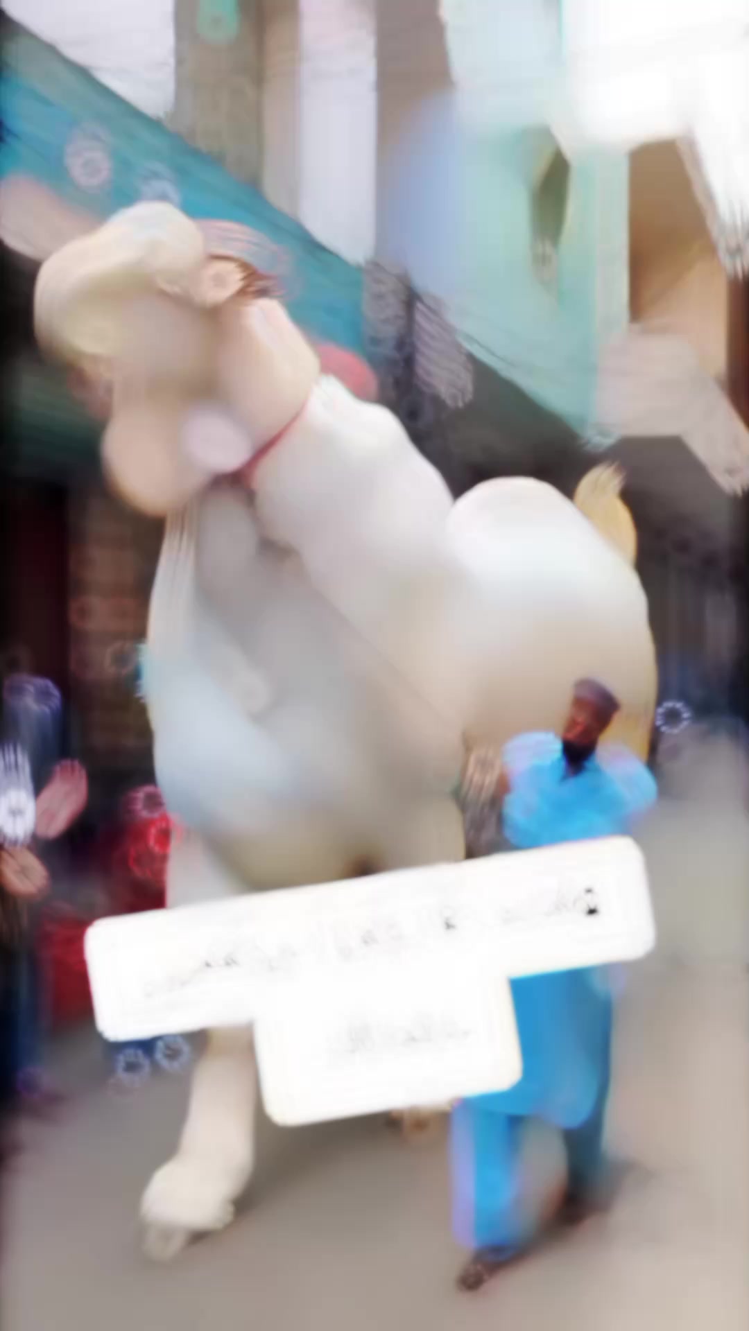 @ᴍʀܔ𝙄𝙧𝙛𝙖𝙣 𝙆𝙝𝙖𝙣 👑