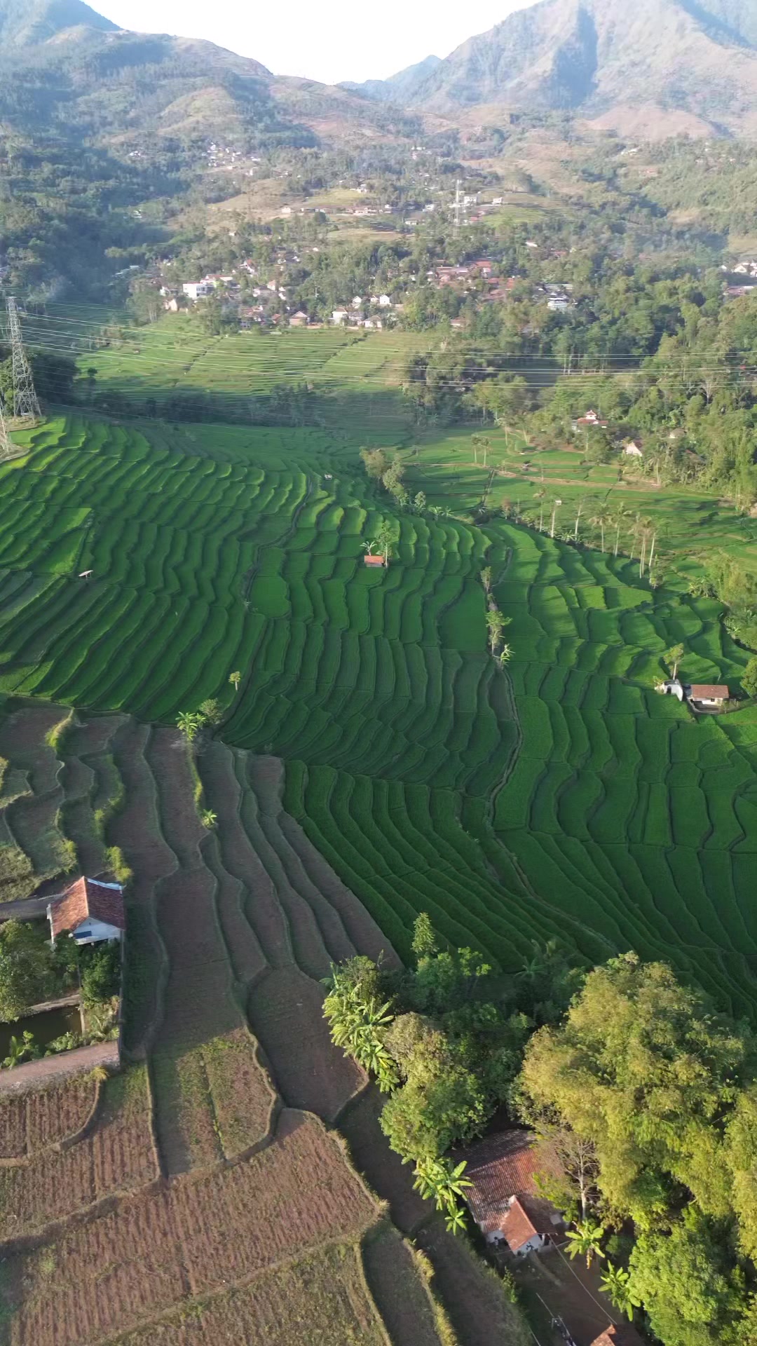 @kang ngablu
