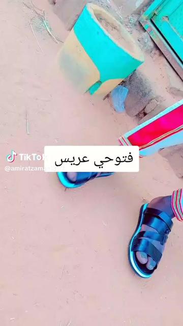 @الفاتح وردي