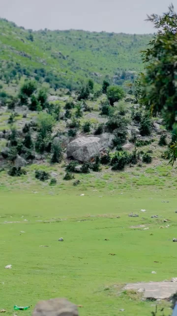 @FAKHAR