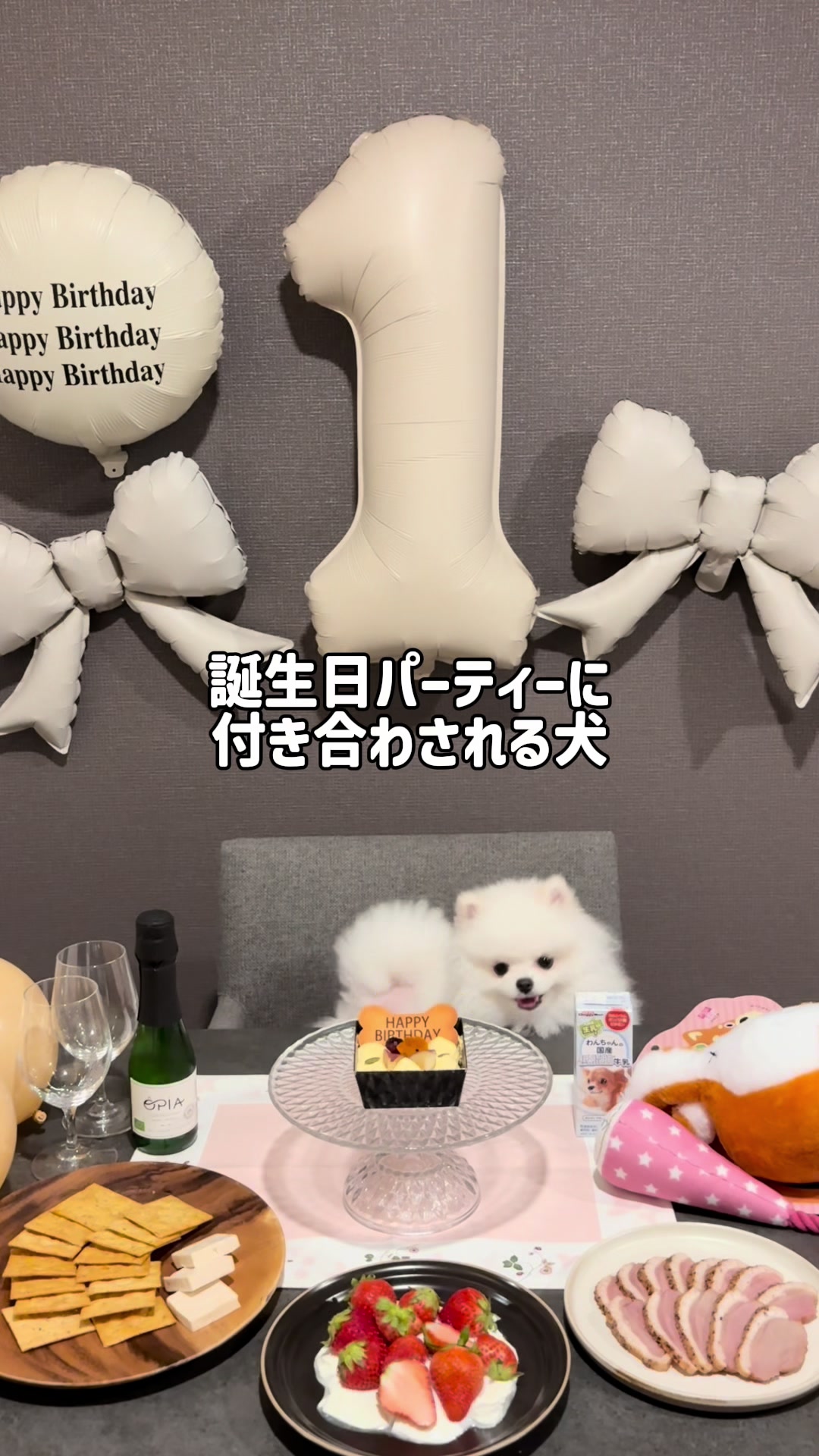 @ポメラニアンのミル🍼