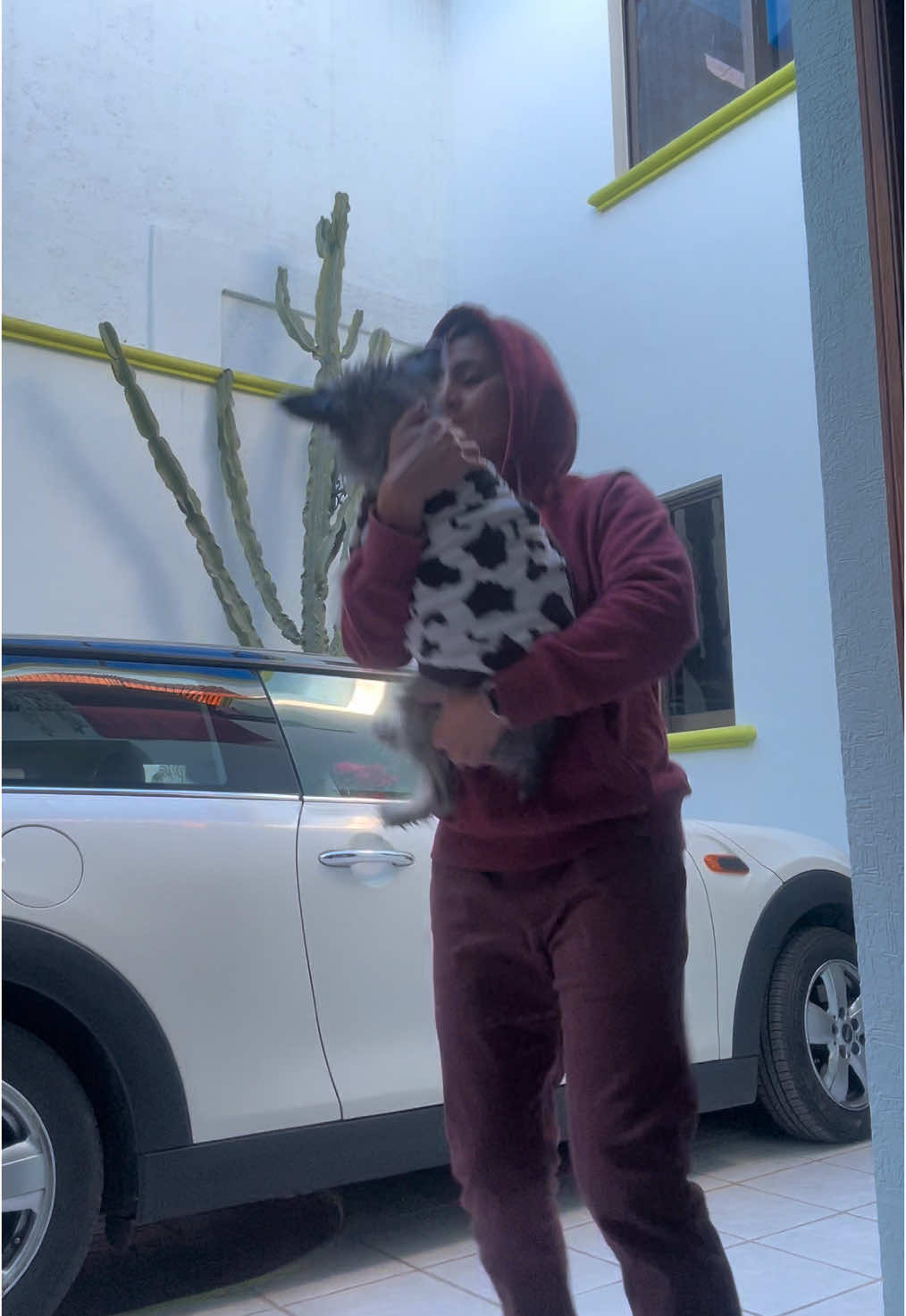 @Pachekito