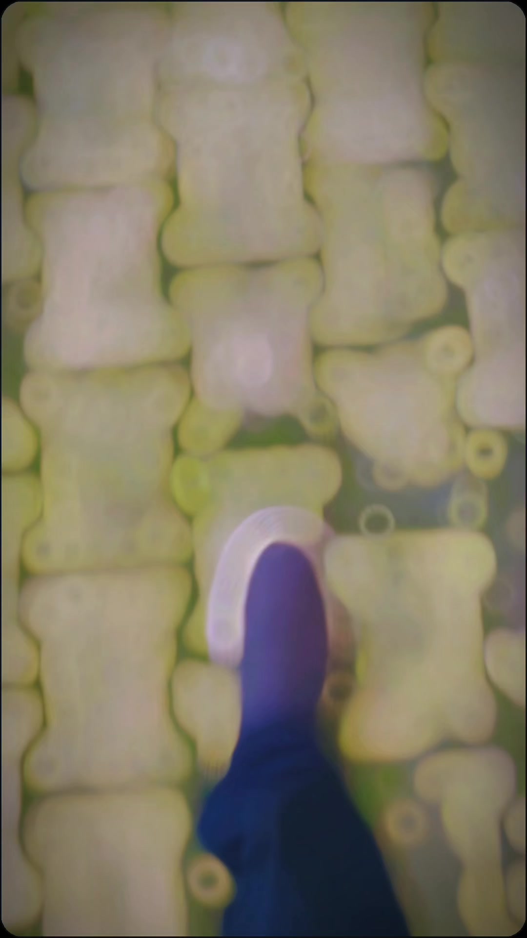 @D̶R̶E̶A̶M̶B̶O̶Y̶ M̶R̶.̶A̶L̶E̶