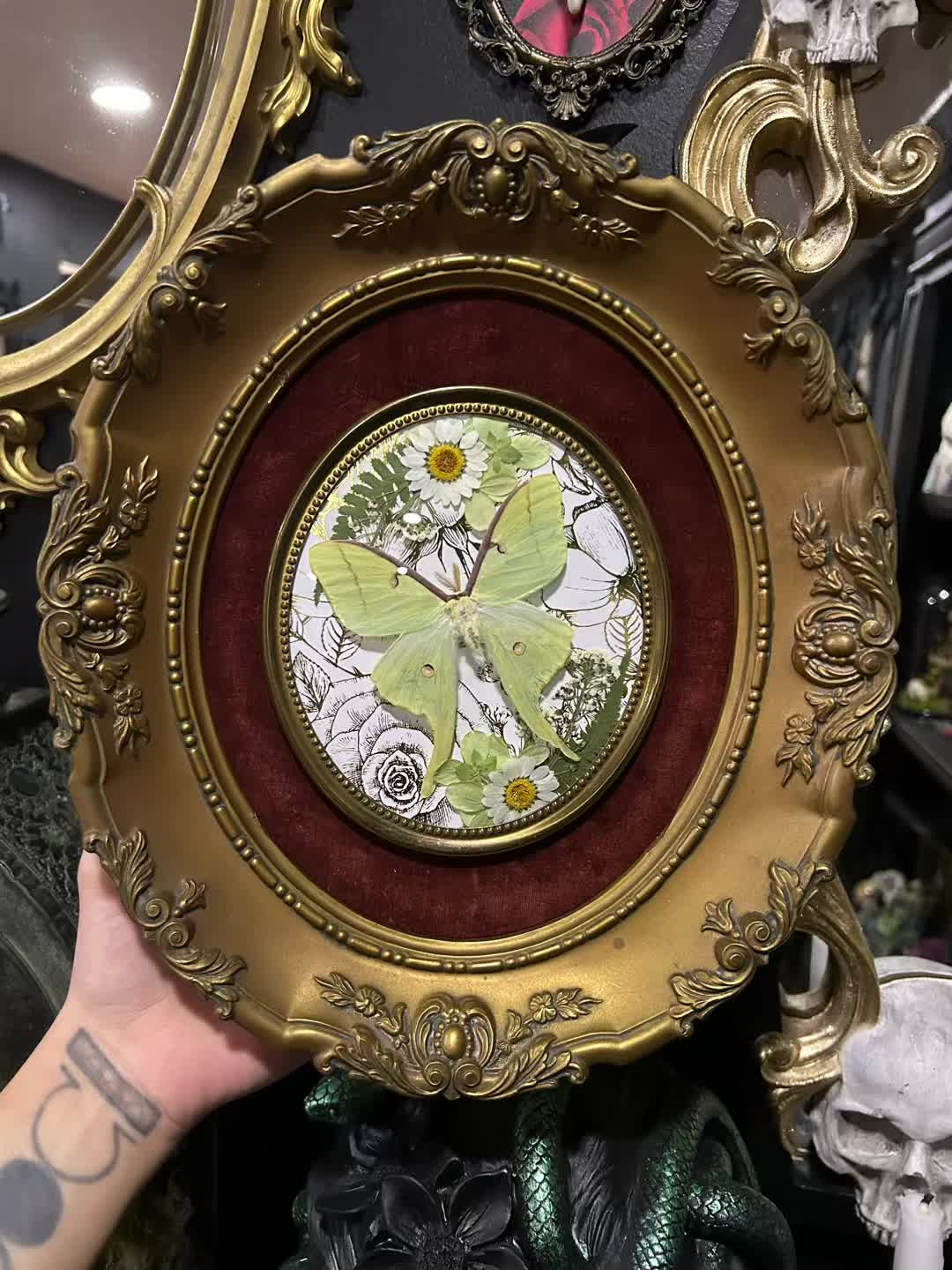 @Macabre Casket