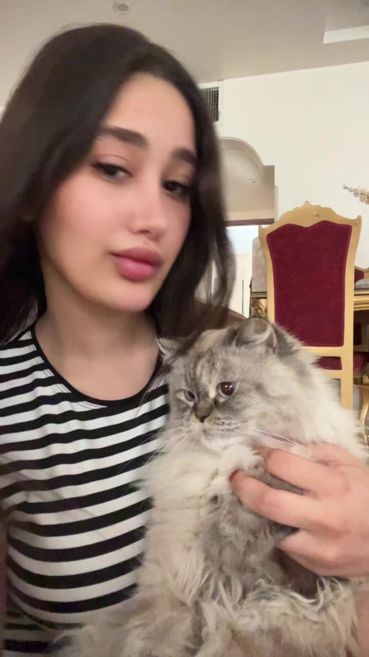 @Negar
