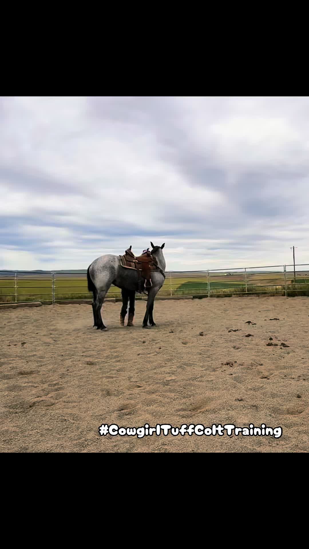 @Cowgirl Tuff Colt Training ❤️