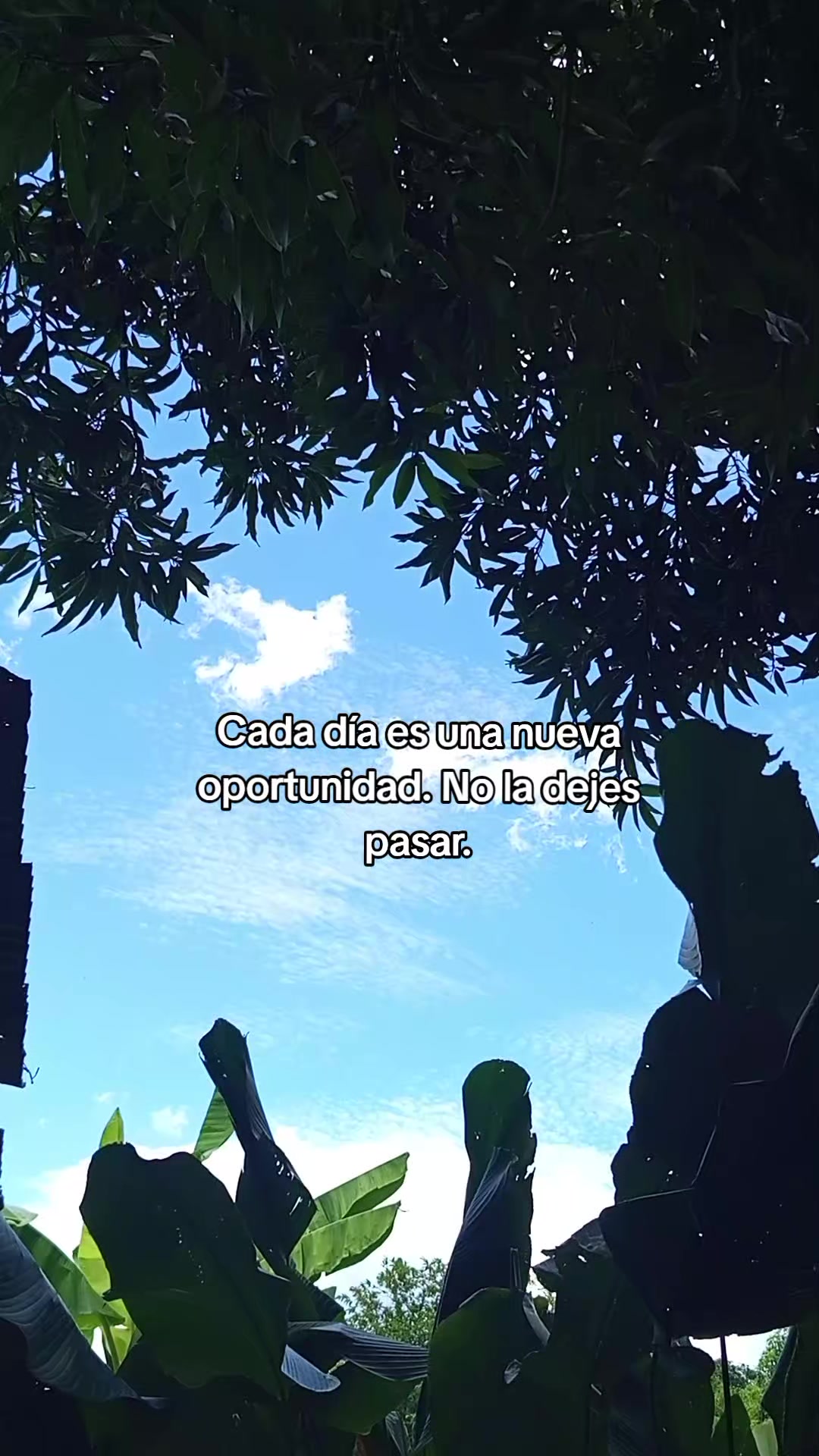 @๐๐๐๐ ๐๐๐ฃ๐ฅ๐๐๐๐ซโจ๐ท