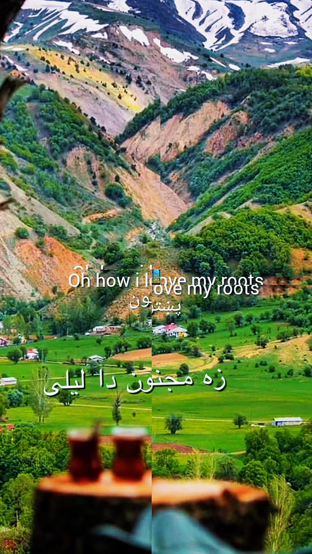 @Diana Abdul Rahimzai