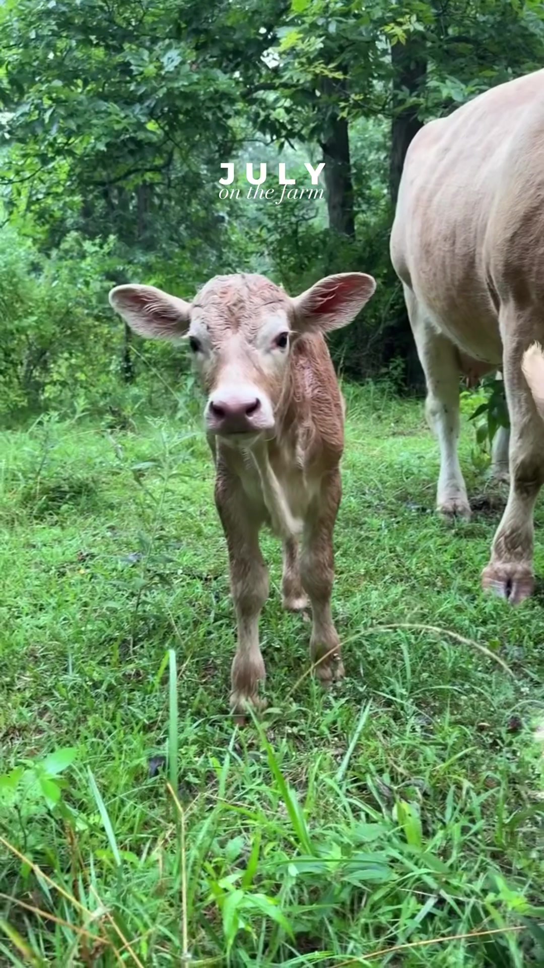 @kl2farms