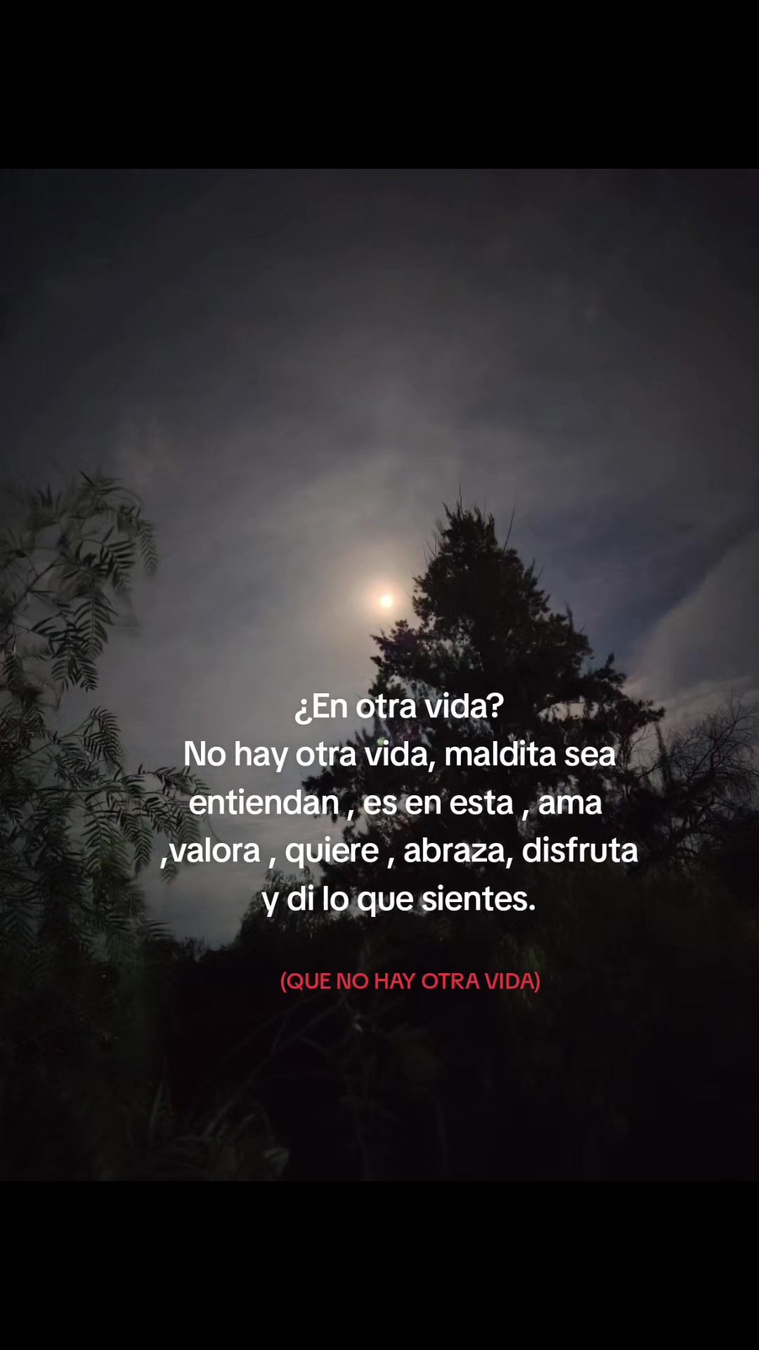 @crisol