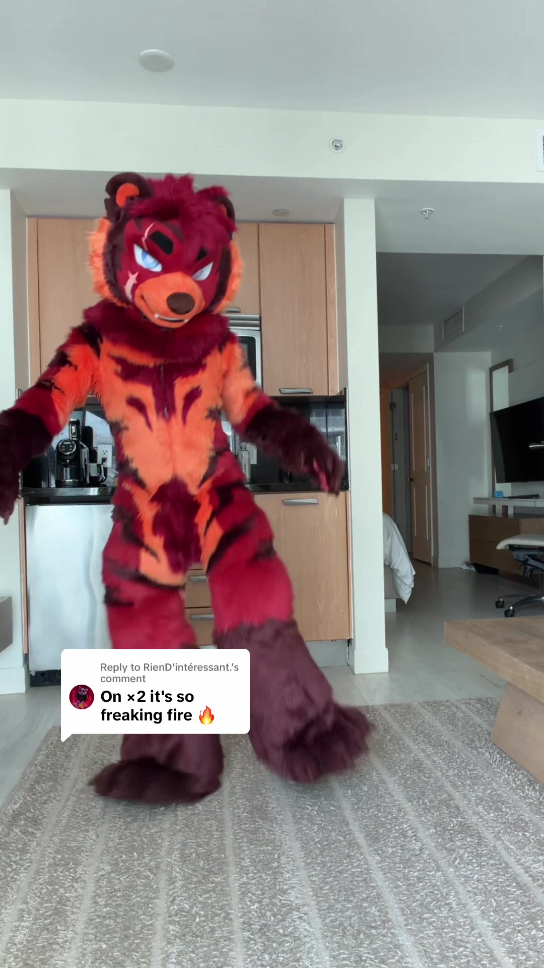 @UrsoFax