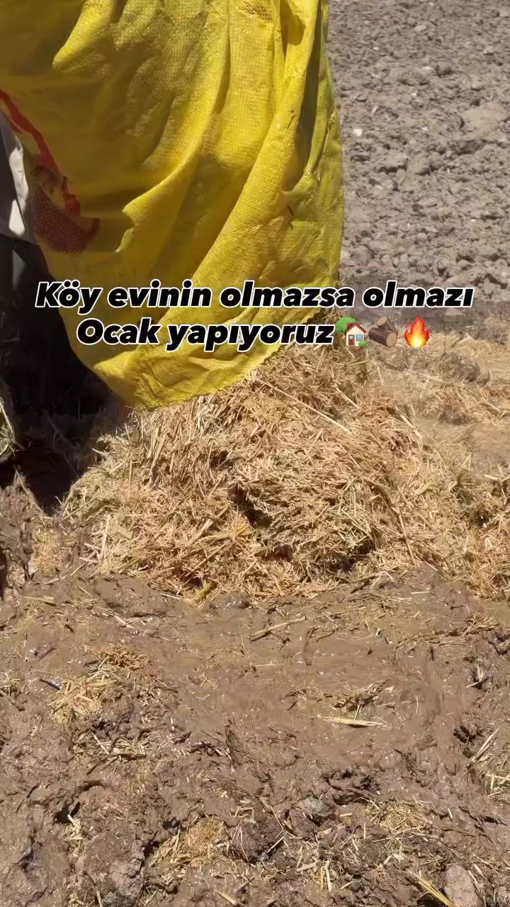 @&ouml;zlem g&uuml;ler