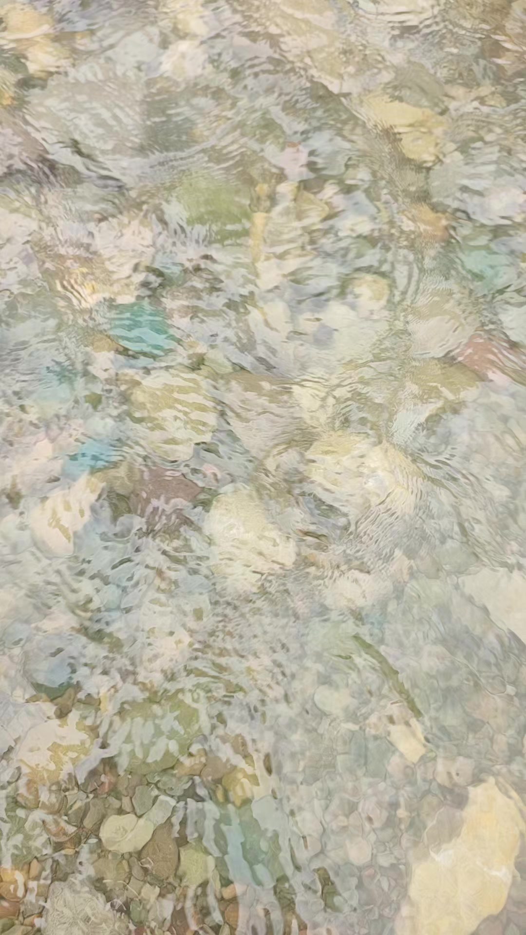 @Maya Bhatta 👁️