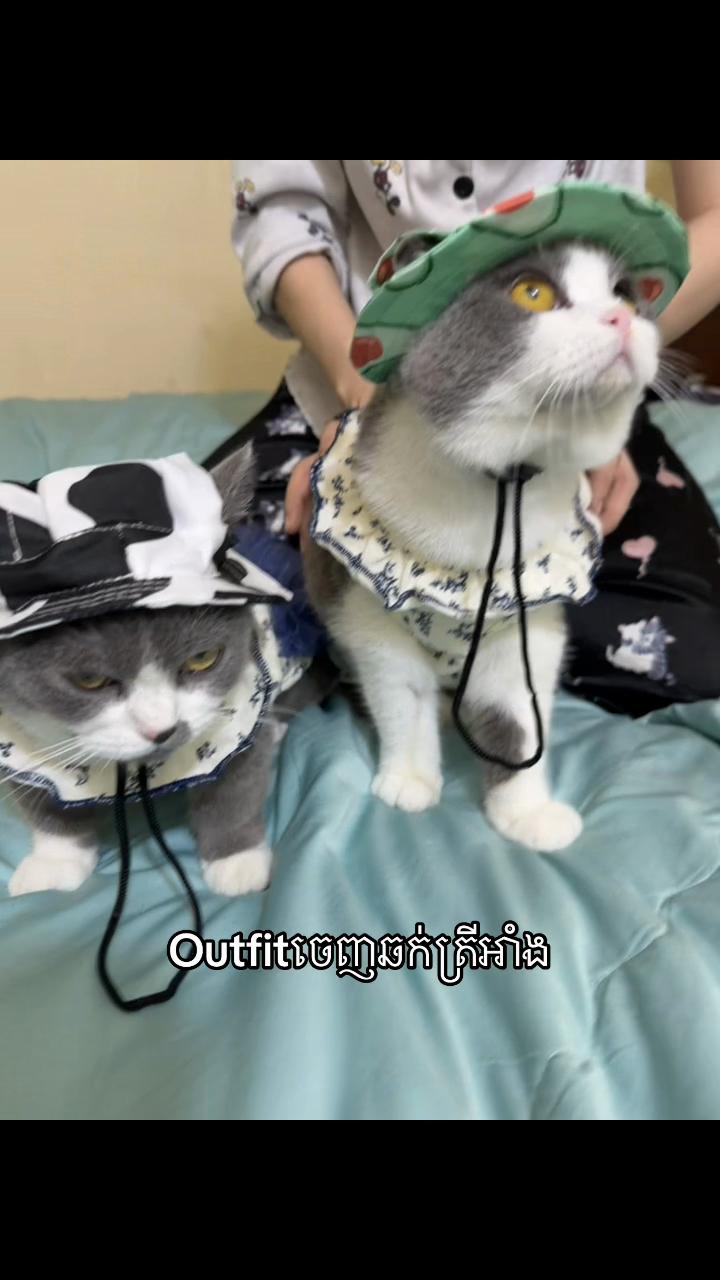 @Jinjin&mimi