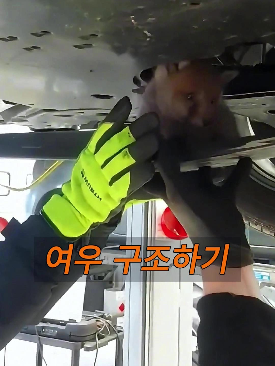 @삼촌Cut2025