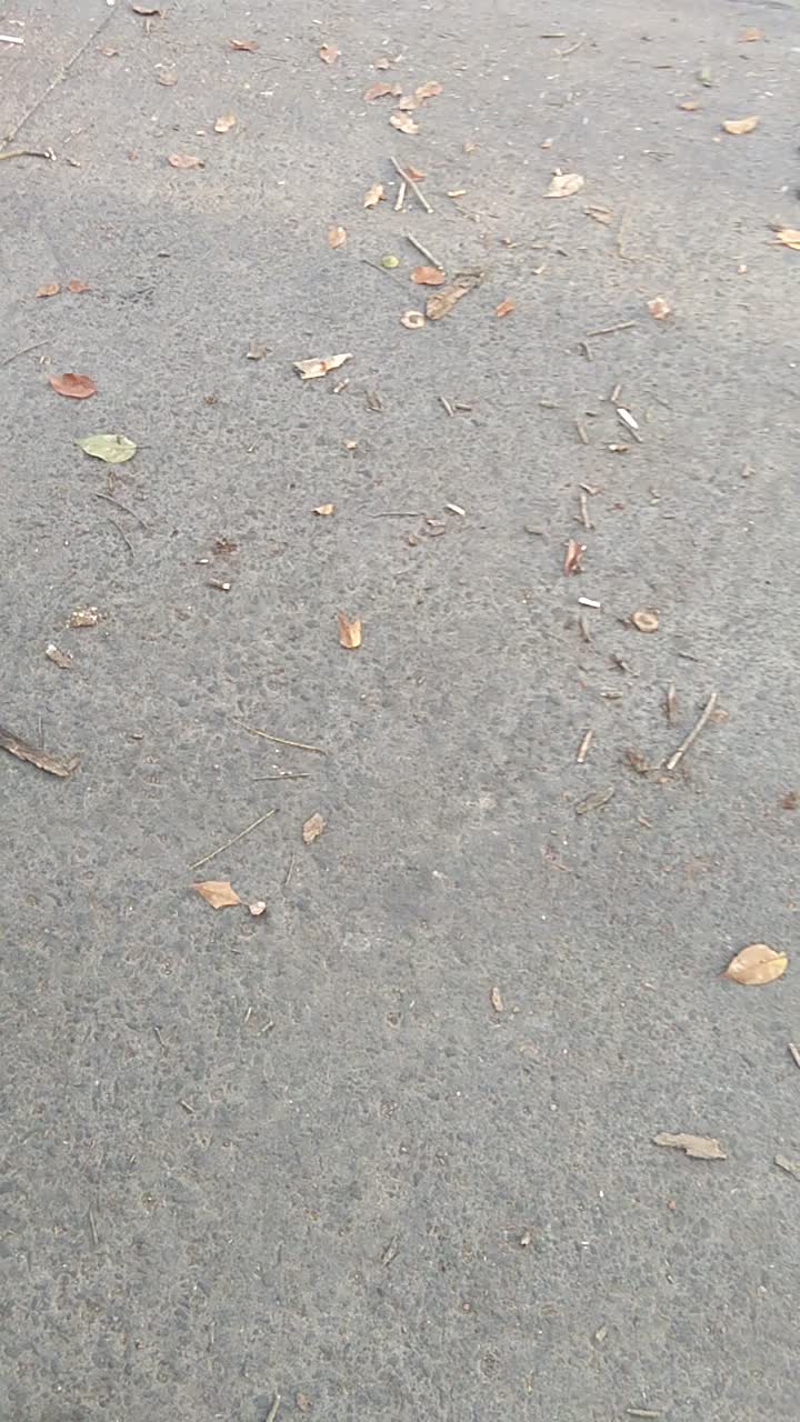 @SQUAD BHAYANGKARA