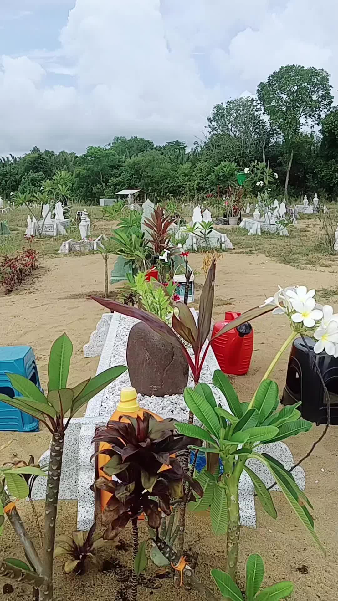 @đ
źď¸đ
´ď¸đ
şď¸_đ
Łď¸đ
ď¸đ
ď¸đ
¨ď¸88đľđ¸